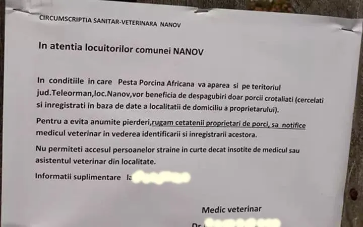 Autoritățile sperie teleormănenii cu pesta porcină
