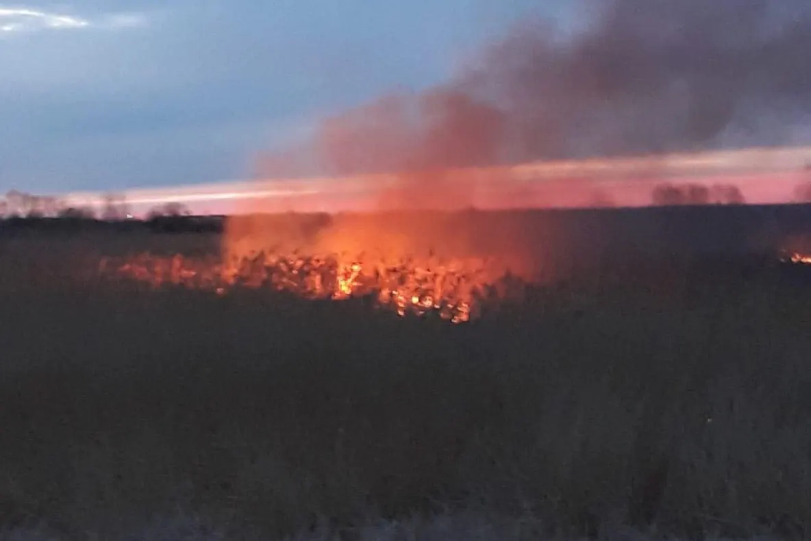 Crește numărul incendiilor de vegetație uscată