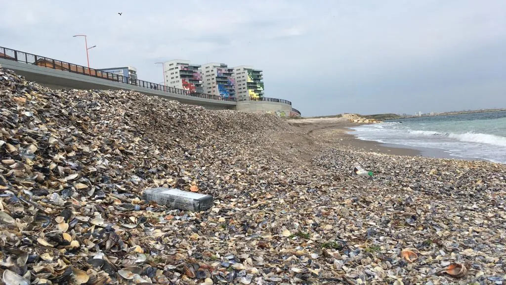 Elevi din Alexandria, luați la DIICOT pentru trafic de droguri