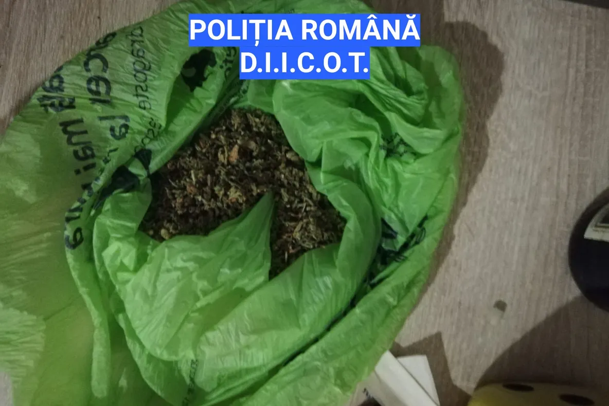 Trafic de droguri în Olt cu protagonist din Teleorman