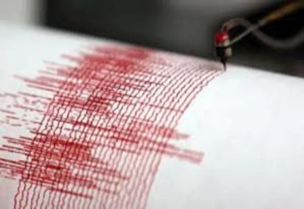 Cutremur de 4,6 grade, joi seara, în România