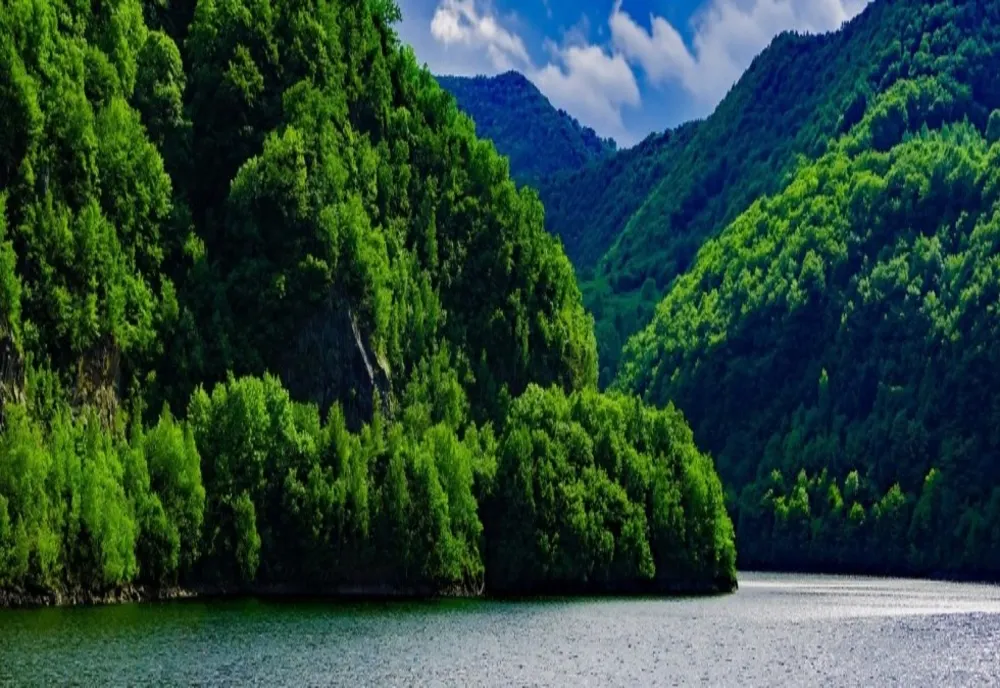 Școala Ecoterrienilor                