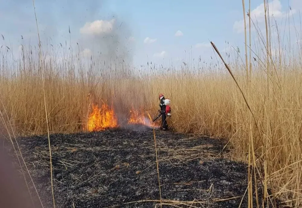 Incendii de vegetaţie uscată, în număr mare, în judeţul Teleorman