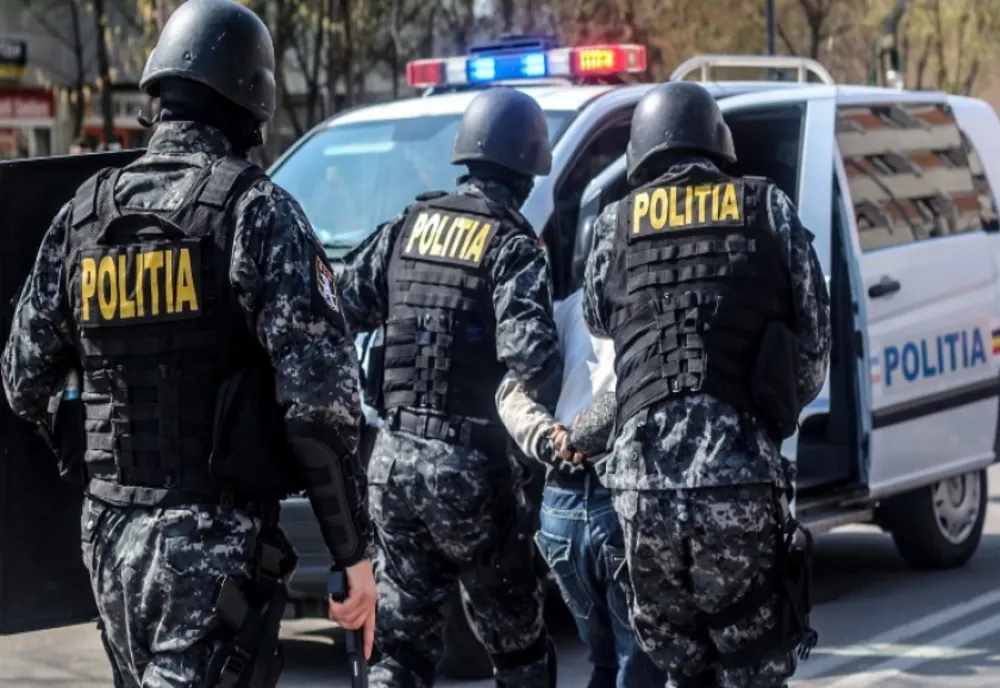 Percheziţii în Teleorman. Mafia lemnului, vizată