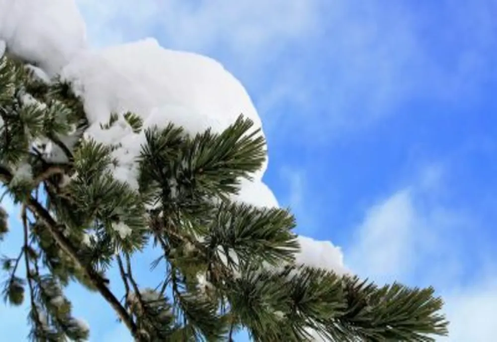 Vremea se schimbă radical chiar în ziua de Crăciun - Temperaturi anormale în multe zone din țară