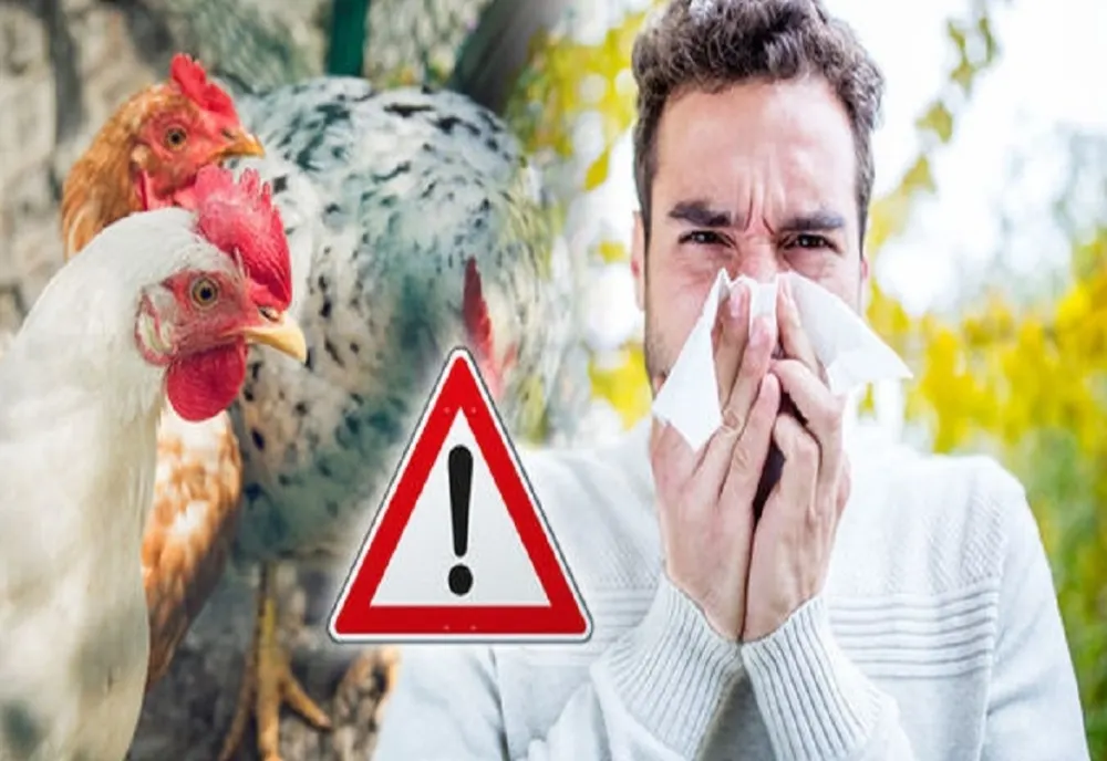 OMS: A fost înregistrat primul deces uman cauzat de gripa aviară de tip H5N2