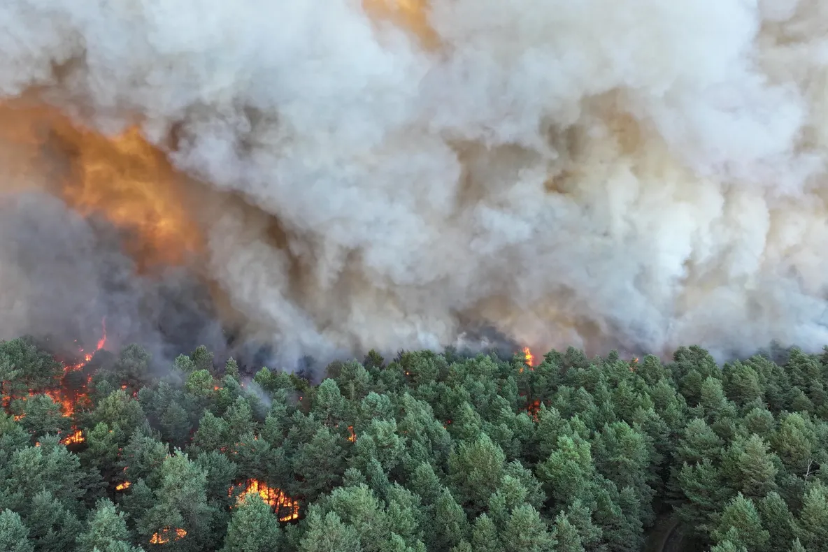 Incendiu violent la 50 km de Paris. Avioane bombardiere cu apă, mobilizate în premieră FOTO&VIDEO