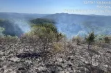 IGSU: Peste 600 de incendii au ars, în trei zile, o suprafață de aproximativ 2.750 de hectare de teren  