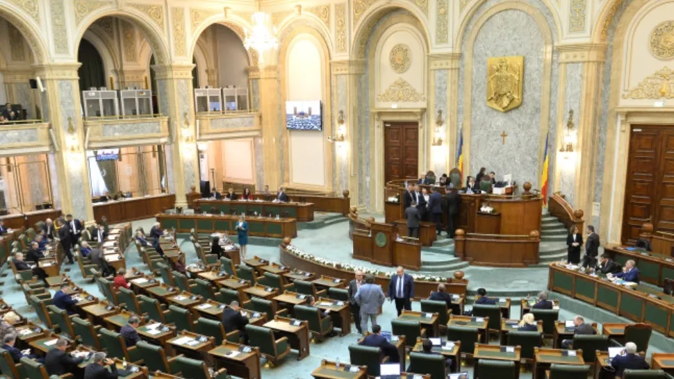 Senat