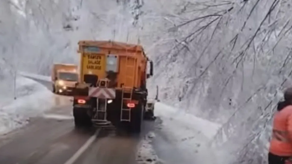ninsori
