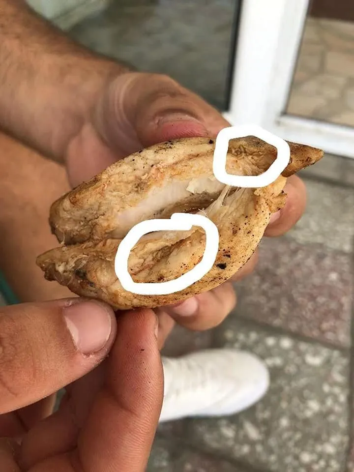 viermi
