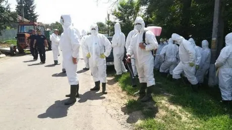 pesta_porcina_30662900