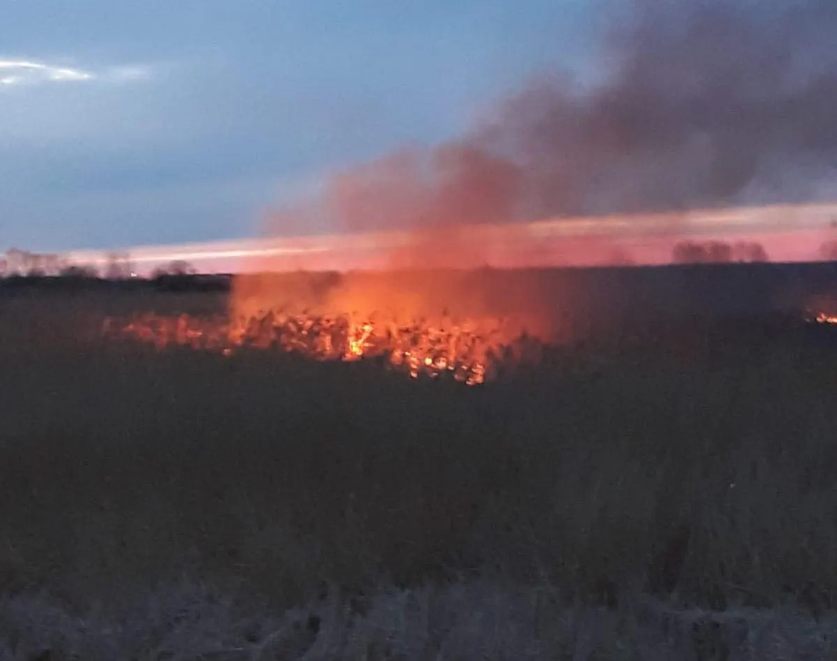 incendiu