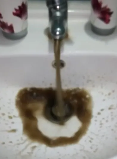 apa 2