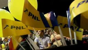 miting pnl
