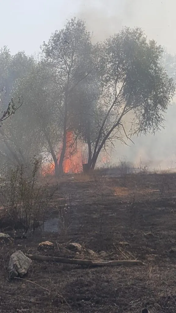 incendii