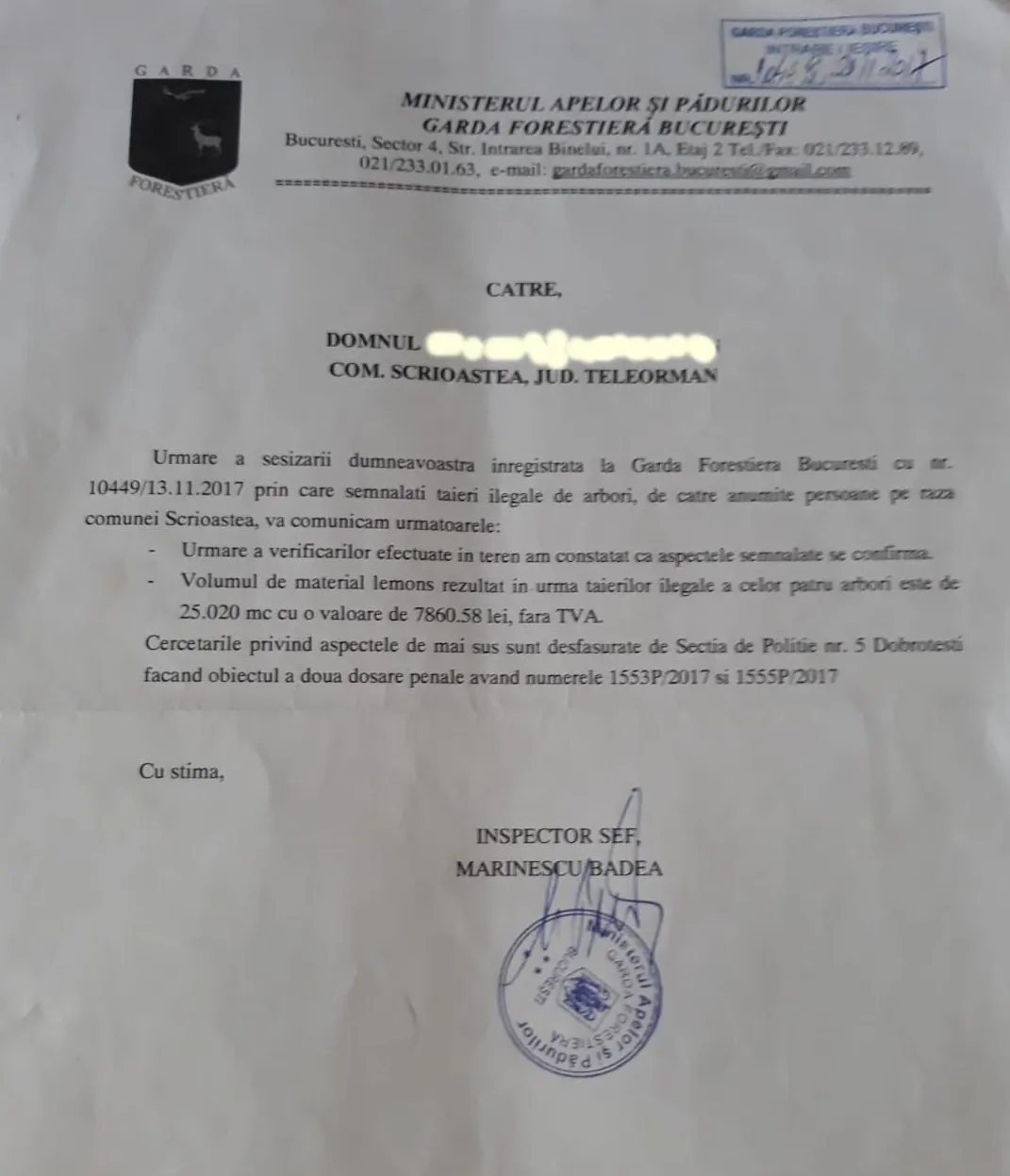 lemne doc