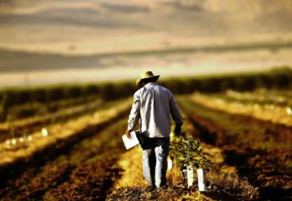 Producătorii agricoli au putut încasa în avans subvențiile pentru anul 2021