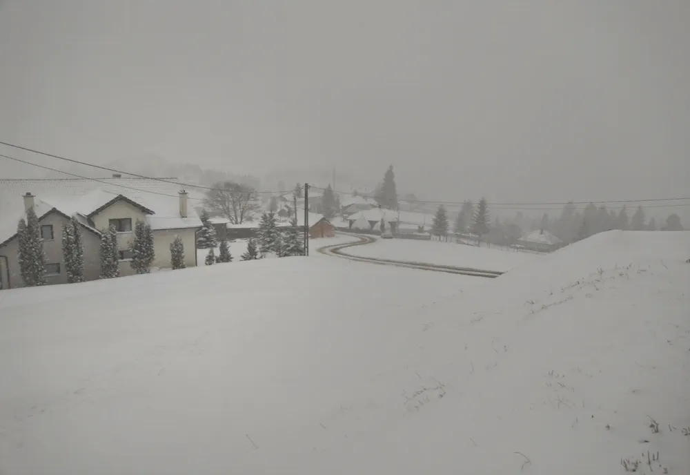 FOTO/VIDEO: Ninge abundent în zona de munte din Bistrița-Năsăud