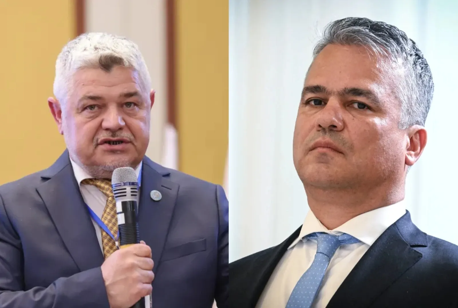 Ninel Peia și Adrian Veștea