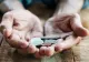 Colaps în sistemul de pensii? Georgeta Zărvescu: „Nu mai avem nicio speranță. Politicienii își bat joc de popor”