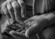 Măsuri de protecţie socială pentru pensionarii cu venituri mici