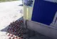 Zeci de oameni și-au luat astăzi adio de la cel care a fost Ilie Gîzea