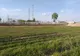 Containerele "pentru săraci" încep să răsară la marginea Alexandriei