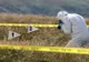 Descoperire macabră într-o viță de vie: un CADAVRU de femeie aflat în descompunere