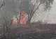 Teleormăneni, prinși de poliție în timp ce-și incendiau miriștile