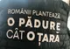Campanie gigant de împădurire. Ministrul Mediului, Costel Alexe: Anul acesta, vom ridica 2.500 de păduri de la zero