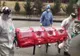 Trei noi cazuri de infectare cu Covid-19 au fost confirmate în Timiș, Caraș-Severin și Hunedoara