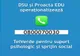 TelVerde pentru suport psihologic și sprijin social