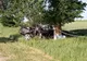 Accident mortal pe șoseaua Alexandria - Turnu Măgurele
