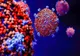 Bilanț coronavirus 1 octombrie, date oficiale: 2.086 de cazuri și 37 de decese 