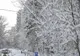 Două coduri galbene de ninsori, vânt și polei, valabile până luni, 1 februarie