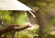Instabilitate atmosferică, până miercuri în majoritatea regiunilor țării