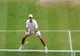 Horia Tecău, eliminat în turul doi la Wimbledon