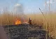 Incendii de vegetaţie uscată, în număr mare, în judeţul Teleorman