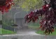 Temperaturile vor scădea brusc.Trei coduri de vreme severă în două zile