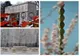 Astăzi, în România, este marcată Ziua Brâncuși, considerat „Părinte al sculpturii moderne”
