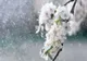 Prognoza meteo 13 martie. Ploile cuprind tot mai multe regiuni, iar temperaturile scad dramatic