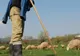 A murit după ce a fost lovit în piept cu cuţitul de un bărbat, în timp ce sacrifica un miel