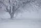 Nou ciclon peste România! Sunt așteptate ninsori, viscol şi temperaturi în scădere