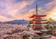 Alertă mondială, un supliment alimentar popular, produs în Japonia, provocă decese pe bandă