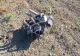 Alertă în Tulcea: obiect suspect asemănător unei drone și un proiectil cu explozibil, descoperite în localitatea Pardina