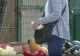 Pensii mici, prețuri mari. Bătrânii numără fiecare leu