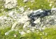 Incident grav pe Transfăgărășan. O mașină s-a făcut zob după ce a căzut pe un versant-VIDEO